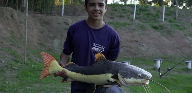 Pesqueiro e Piscicultura Pompéia - Peixes do Local