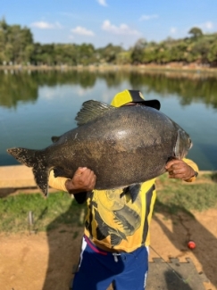 Pesqueiro Recanto das Lagoas - Peixes do Local