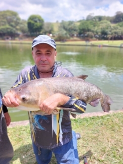 Pesqueiro Recanto das Lagoas - Peixes do Local