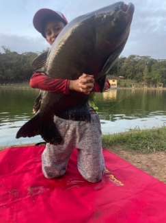 Pesqueiro Recanto das Lagoas - Peixes do Local