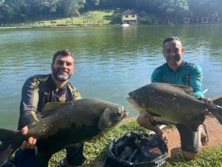 Pesqueiro Recanto das Lagoas - Peixes do Local