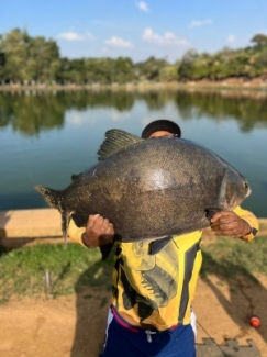 Pesqueiro Recanto das Lagoas - Peixes do Local