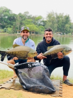 Pesqueiro Recanto das Lagoas - Peixes do Local