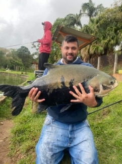 Pesqueiro Recanto das Lagoas - Peixes do Local