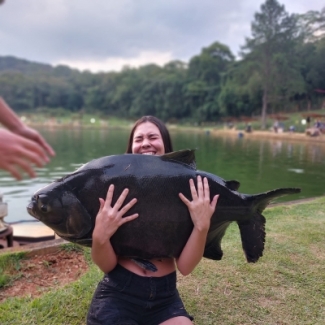 Pesqueiro Recanto das Lagoas - Peixes do Local