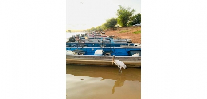 Pousada Tucunaré - Peixes do Local